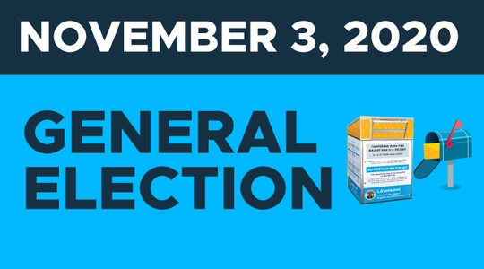 General Election on November 3, 2020 flyer