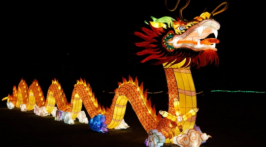Chinese lantern of a dragon