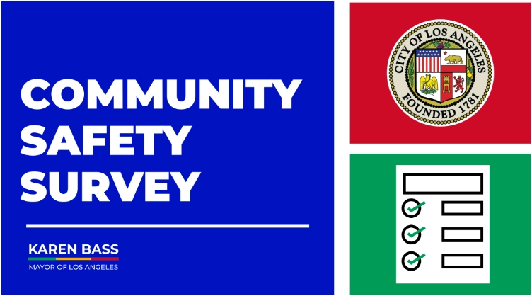 Community Safery Survey