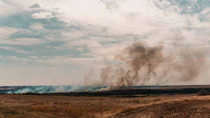 Burnt Land