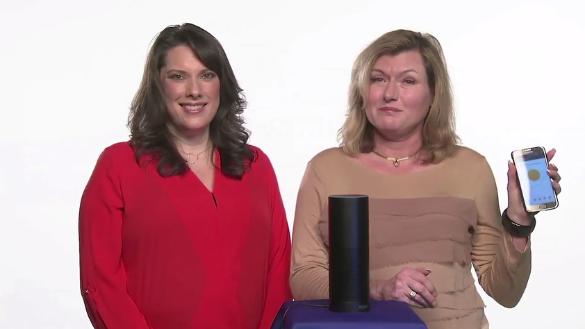 Amazon Echo Device with City Clerk staff