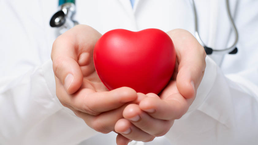 Hand Holding Heart