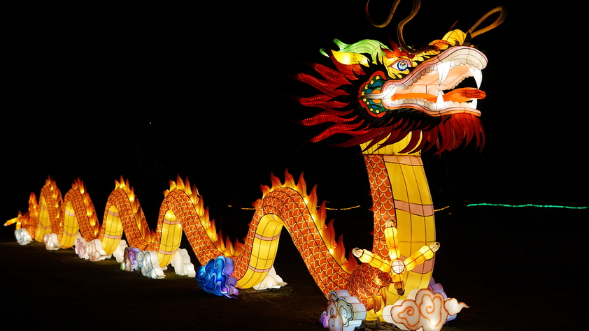 Chinese lantern of a dragon