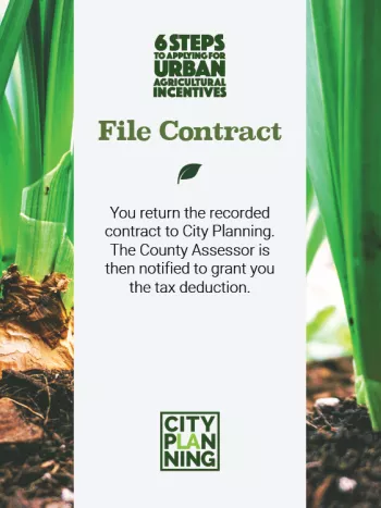 File Contract