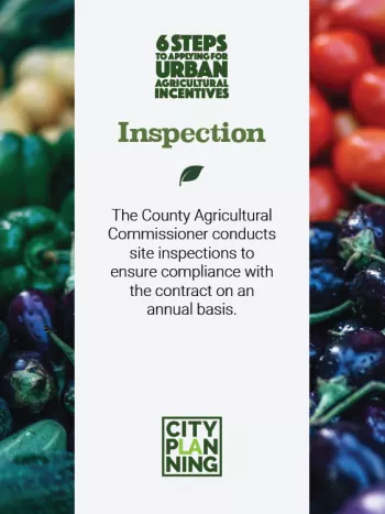 Inspection
